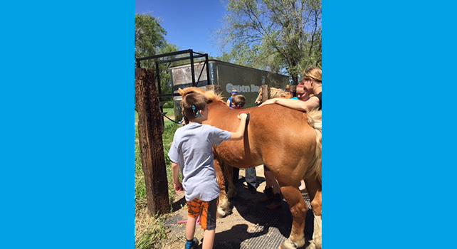 Young boy petting a horse